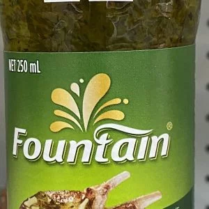 Fountain Thick Mint