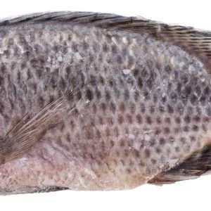 Telapia Fish